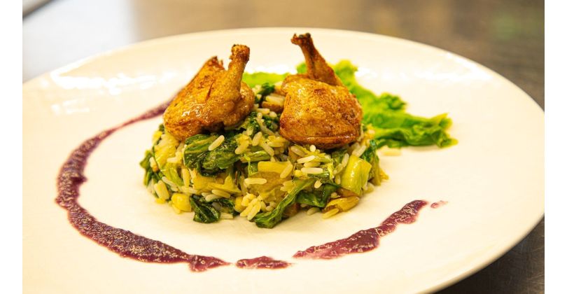 Supreme Quail Breast on Chard Rice with Red Cabbage Purée