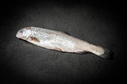 Bio Bud trout
