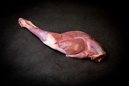Leg of chamois with bone