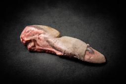 Bio Bud veal tongue