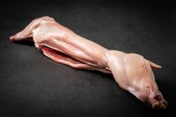 Whole IP-SUISSE rabbit