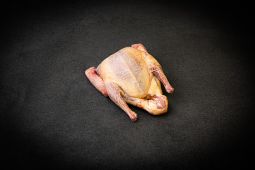 Whole and gutted pigeon