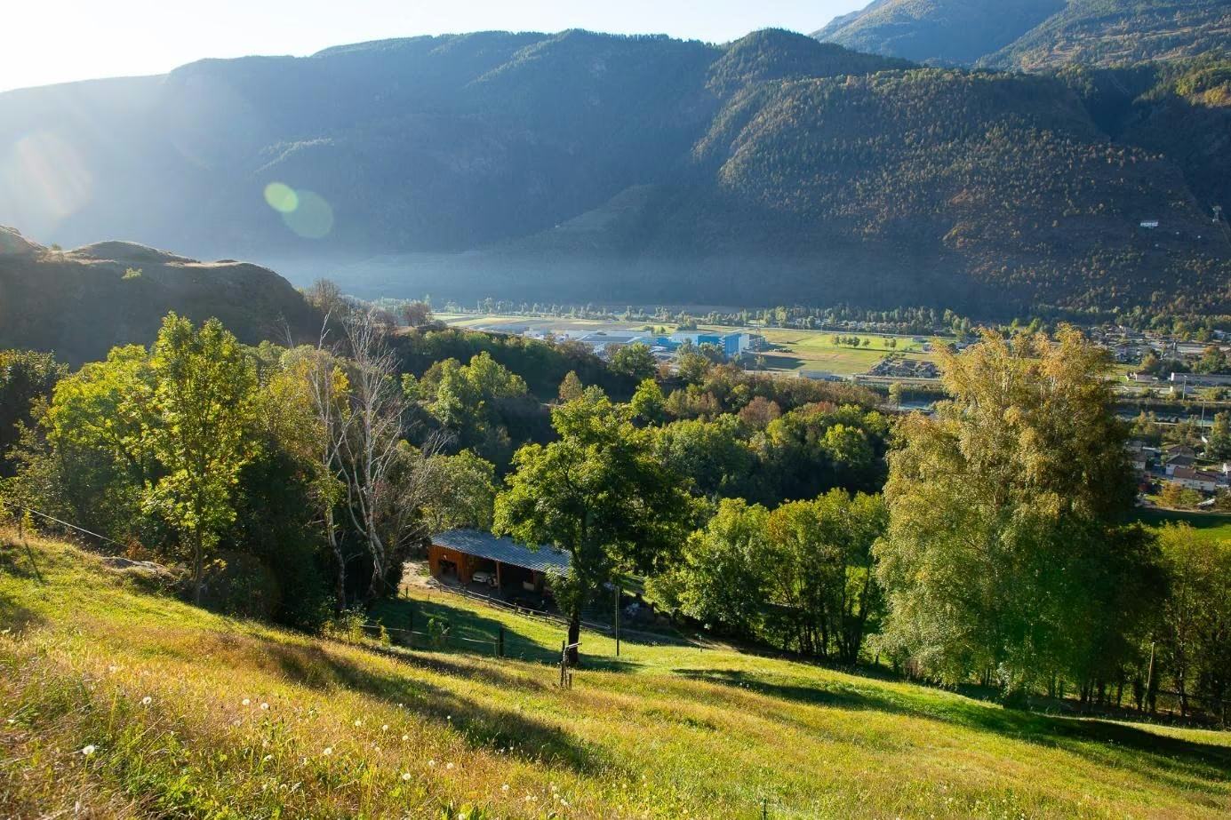Blick über grüne Hänge auf das Tal und die Walliser Berge