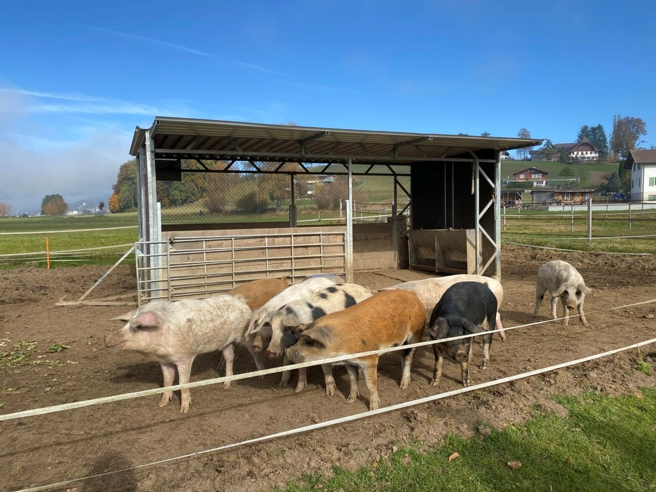 Kreislauf Tierhaltung